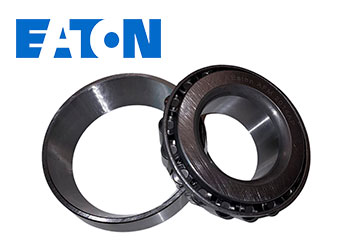 Conjunto composto por capa